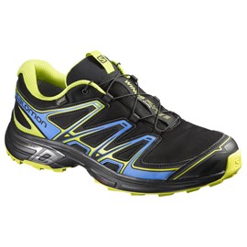 Salomon Wings Flyte 2 Gtx