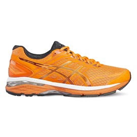 Asics Gel GT 2000 5