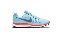 Nike Pegasus 34
